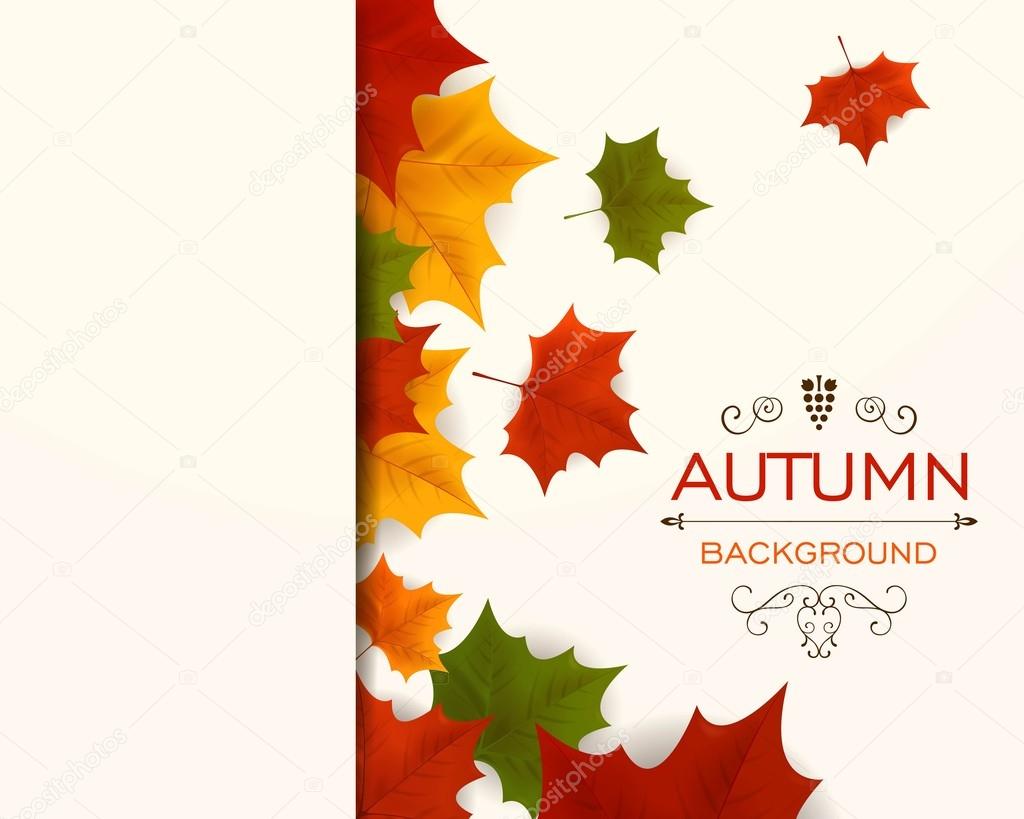 Vector Autumn Design