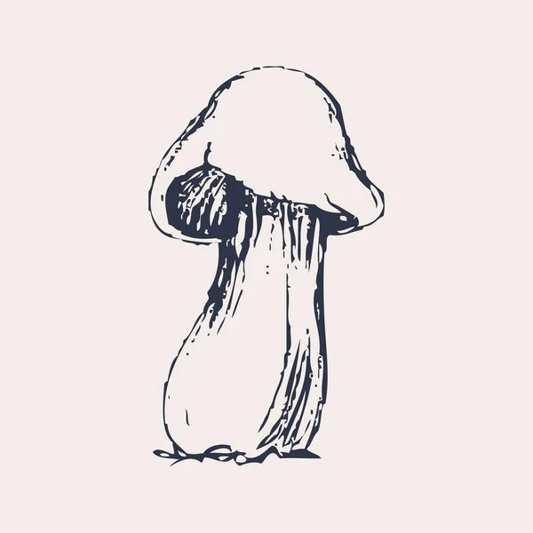 Champignon dessiné à la main vecteur — Image vectorielle