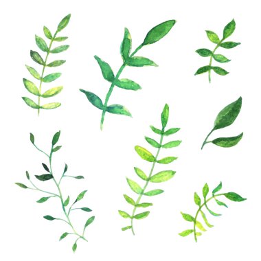 Vektör çiçek suluboya tasarım