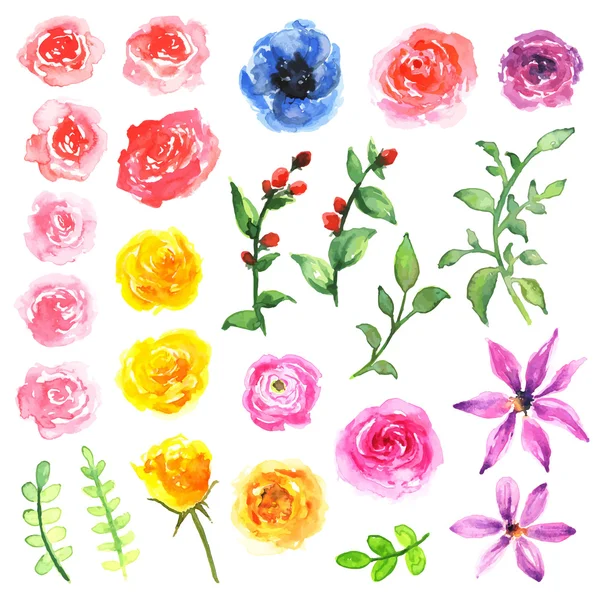 Design de aquarela floral vetorial —  Vetores de Stock