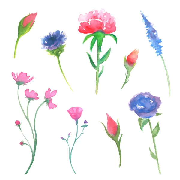 Vektor florales Aquarell-Design — Stockvektor