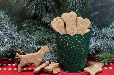 Köpek kemiği ve köpek şekilli kurabiyeler Noel sebzelerinin önünde bir konteynırda.