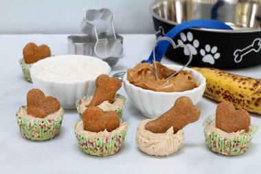 Ortasında bisküvi olan ev yapımı donmuş köpek dondurmalı kekler. Yoğurt, muz ve fıstık ezmesi..