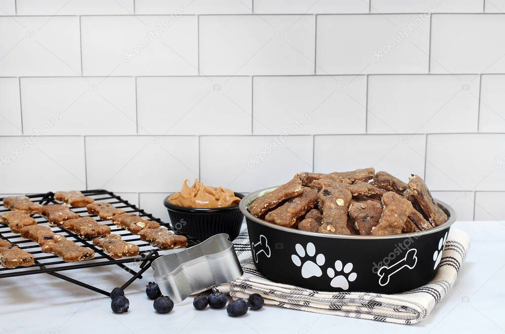 A dog bowl and a cooling rack full of blueberry, oat and peanut butter dog biscuits with scattered blueberries.
