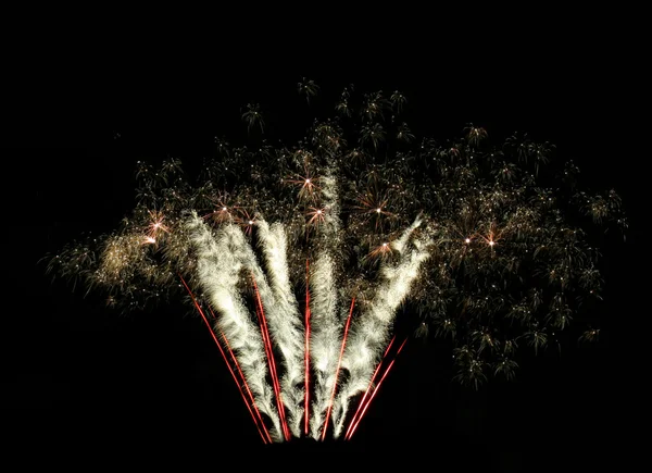 Hermosos fuegos artificiales detallados — Foto de Stock