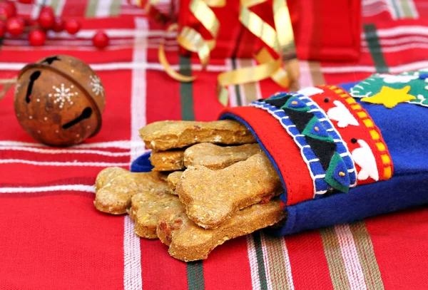 호박과 크리스마스 스타킹에 베이컨으로 만든 개 먹이 — 스톡 사진