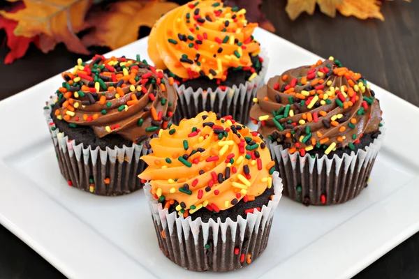 Autumn chocolate cupcakes with orange and chocolate frosting and Stock Picture