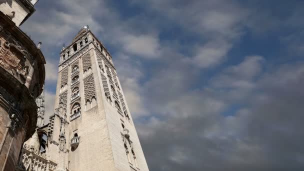 Catedral de Sevilla Catedral de Santa María de la Sede, Andalucía, España es la tercera iglesia más grande del mundo y en su momento de su finalización en el 1500 fue el más grande del mundo. Lugar de entierro de Cristóbal Colón — Vídeo de stock