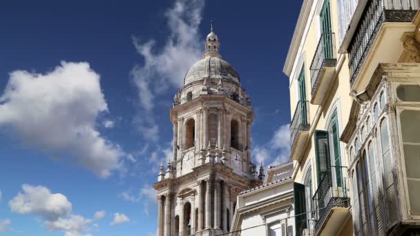 Cathedral of Malaga-- is a Renaissance church in the city of Malaga, Andalusia, southern Spain. It was constructed between 1528 and 1782; its interior is also in Renaissance style — Stock Video