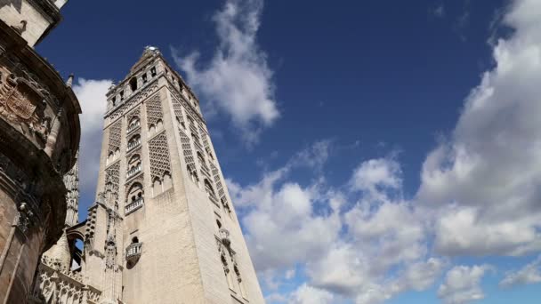 Catedral de Sevilla Catedral de Santa María de la Sede, Andalucía, España es la tercera iglesia más grande del mundo y en su momento de su finalización en el 1500 fue el más grande del mundo. Lugar de entierro de Cristóbal Colón — Vídeo de stock