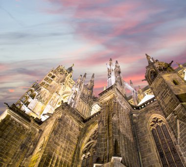 Çek Cumhuriyeti Prag Şatosu 'ndaki Aziz Vitus Katedrali (Roma Katolik Katedrali) 