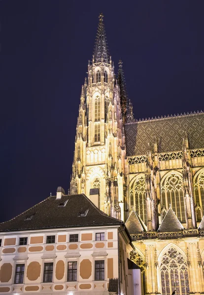 St. Vituskathedraal (rooms-katholieke kathedraal) in het kasteel van Praag, Tsjechië — Stockfoto