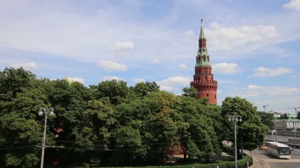 日当たりの良い夏の日、ロシアのモスクワのクレムリン — ストック動画