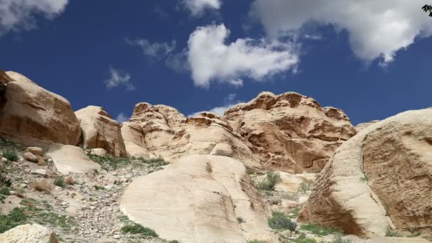 Berge von Petra, Jordanien, Naher Osten. — Stockvideo