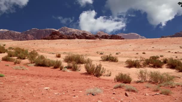 Gurun Wadi Rum, Yordania, Timur Tengah - juga dikenal sebagai Lembah Bulan adalah sebuah lembah yang dipotong menjadi batu pasir dan batu granit di selatan Yordania 60 km sebelah timur Aqaba — Stok Video