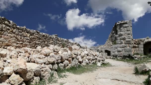 O castelo ayyubid de Ajloun no norte da Jordânia, construído no século XII, Oriente Médio — Vídeo de Stock