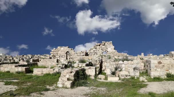 Amman city landmarks-- old roman Citadel Hill, Jordan — Stock Video