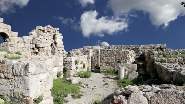 Amman atrakcji--stary rzymski Cytadeli hill, jordan — Wideo stockowe