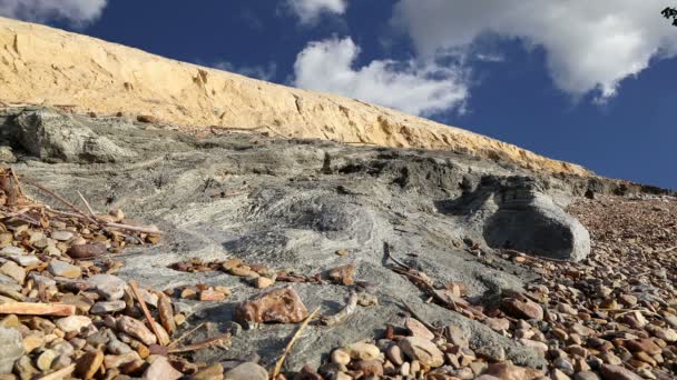 Dead sea salt at Jordan, Middle East — Stock Video