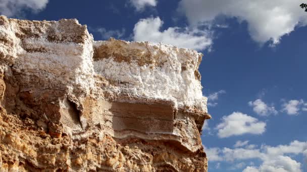 Dead sea salt at Jordan, Middle East — Stock Video