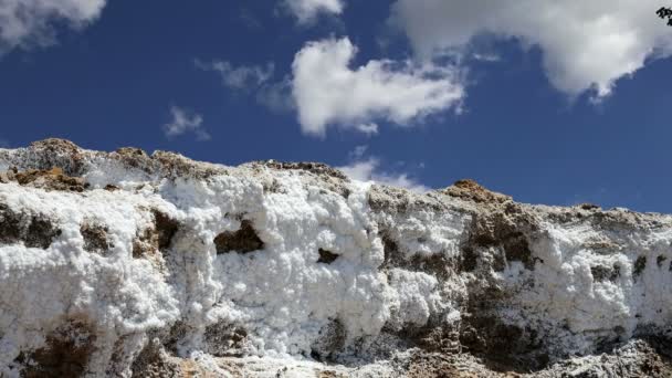 Dead sea salt at Jordan, Middle East — Stock Video