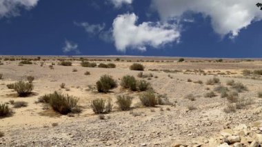 Taş Çölü (tipik kurak manzara), Jordan, Orta Doğu 