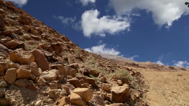 Камінь пустелі (типовий посушливій краєвид), Jordan, Близький Схід — стокове відео