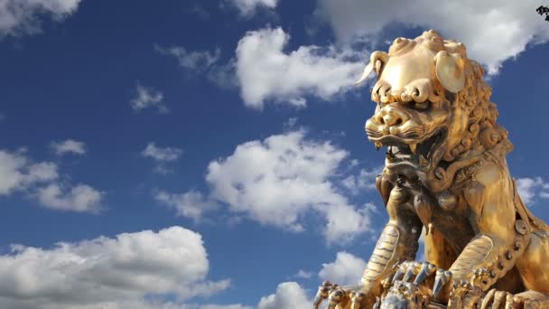 자금성에서 중국 청동 용 동상. 베이징, 중국 — 비디오