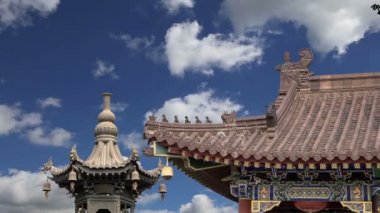 Dev Vahşi kaz Pagodası veya büyük vahşi kaz Pagodası olduğu bir Budist pagoda Güney xian (sian, xi'an), shaanxi Eyaleti, Çin bulunmaktadır. 