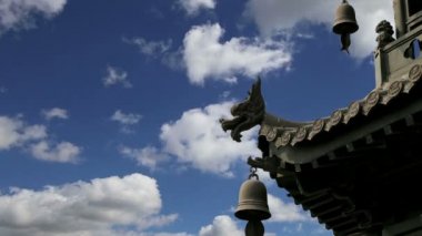 süslemeleri bölge dev Vahşi kaz Pagodası üzerinde çatı, bir Budist pagoda bulunan Güney xian (sian, xi'an), shaanxi Eyaleti, Çin olduğunu 