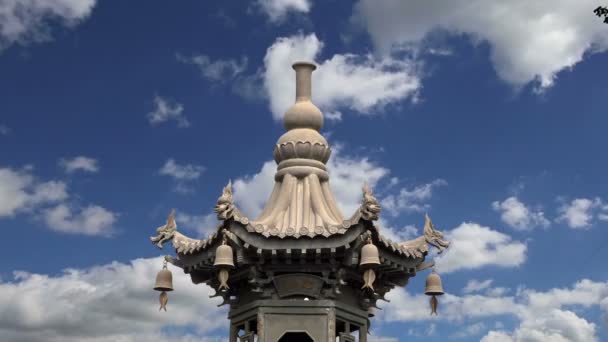 På territorium jätte wild goose pagoda eller stora wild goose pagoda, är en buddhistisk pagod ligger i södra xian (sian, xi'an), shaanxi-provinsen, Kina — Stockvideo