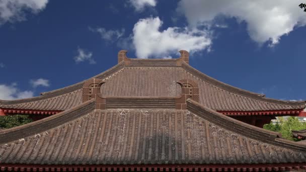 Tak dekorationer på territorium jätte wild goose pagoda, är en buddhistisk pagod ligger i södra xian (sian, xi'an), shaanxi-provinsen, Kina — Stockvideo
