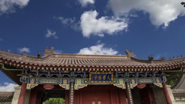 Decorações de telhado no território Giant Wild Goose Pagoda, é um pagode budista localizado no sul de Xian (Sian, Xi 'an), província de Shaanxi, China — Vídeo de Stock