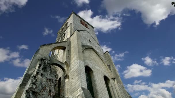 Basiliek van saint-martin, tours, Frankrijk — Stockvideo