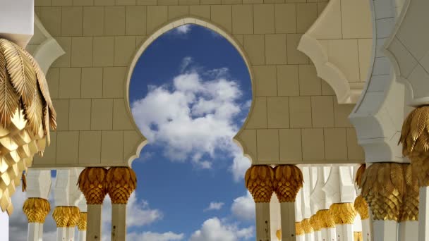 Mezquita blanca Abu Dhabi Sheikh Zayed en los Emiratos Árabes Unidos — Vídeo de stock