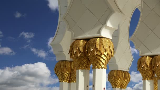 Mezquita blanca Abu Dhabi Sheikh Zayed en los Emiratos Árabes Unidos — Vídeo de stock