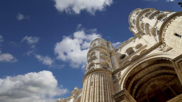 La cattedrale di Malaga è una chiesa rinascimentale della città di Malaga, in Andalusia, nel sud della Spagna. Fu costruito tra il 1528 e il 1782 — Video Stock