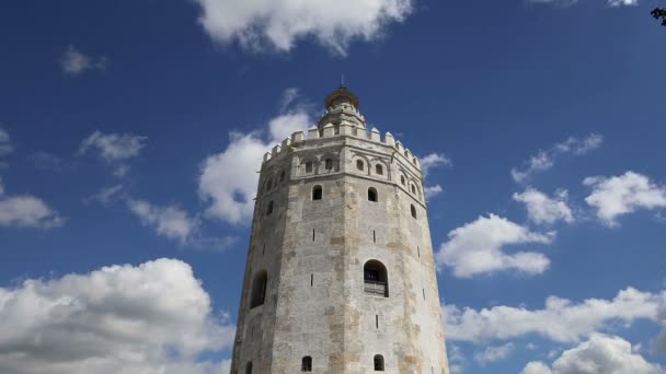 Torre del oro eller golden tower (1200-talet), ett medeltida arabiska dodecagonal vakttorn i Sevilla, Andalusien, södra Spanien — Stockvideo