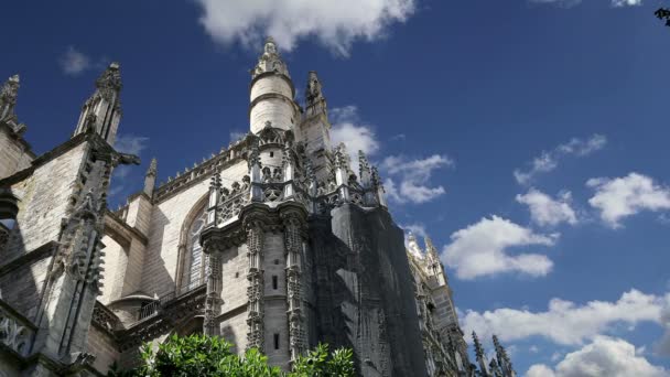 Kathedraal van Sevilla--kathedraal van saint mary van het zie, Andalusië, Spanje — Stockvideo