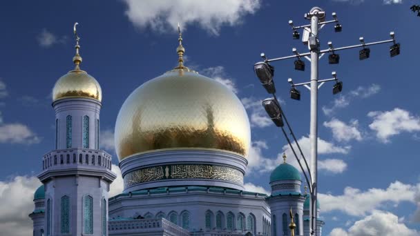 Moscow Cathedral Mosque, Russia — Stock Video