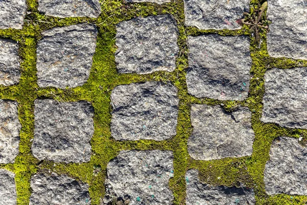 Moscow Russia Oktober 2020 Monument Van Zwarte Zeelieden Geschreven Het — Stockfoto