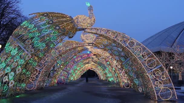 Moscow Ryssland Mars 2021 Juldekoration Nyårshelger Moskva Natten Ryssland Nära — Stockvideo