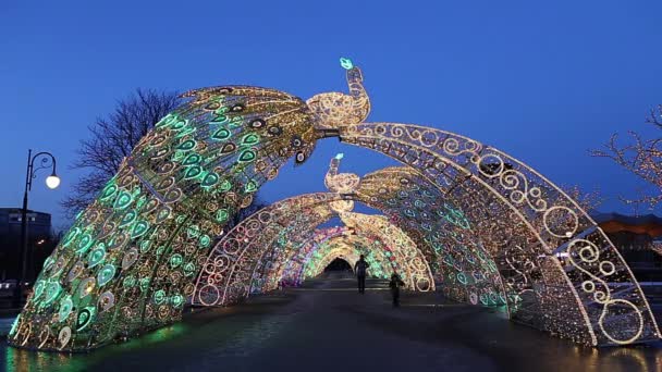 Moscow Russia March 2021 Christmas New Year Holiday Decoration Moscow — 비디오