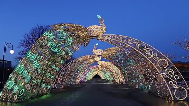 2021年3月29日 在俄罗斯莫斯科 的圣诞 新年假期 装饰品 靠近弗纳德斯科戈普罗斯潘特的莫斯科大马戏团 — 图库视频影像