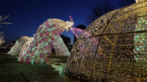 Moskau Russland März 2021 Weihnachtsdekoration Moskau Der Nacht Russland Der — Stockvideo