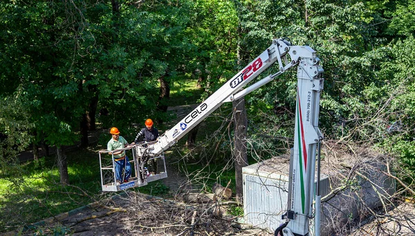 モスクワ ロシア 2021年6月23日 住宅の中庭に油圧リフト工場を持つ車 乾燥した枝を剪定し 損傷した木を切り倒し クローンを作成します 都市ユーティリティの仕事 — ストック写真