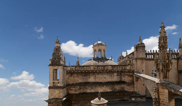 Kathedraal van Sevilla--kathedraal van saint mary van het zie, Andalusië, Spanje — Stockfoto