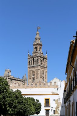 Seville--bakın, Endülüs, İspanya'nın saint mary Katedrali Katedrali