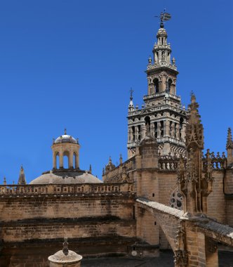 Seville--bakın, Endülüs, İspanya'nın saint mary Katedrali Katedrali