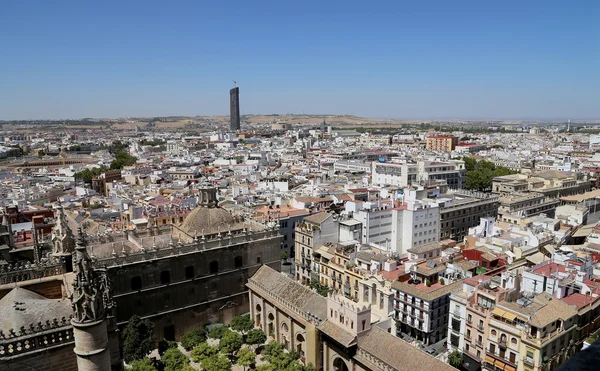 Kathedraal van Sevilla--kathedraal van saint mary van het zie, Andalusië, Spanje — Stockfoto